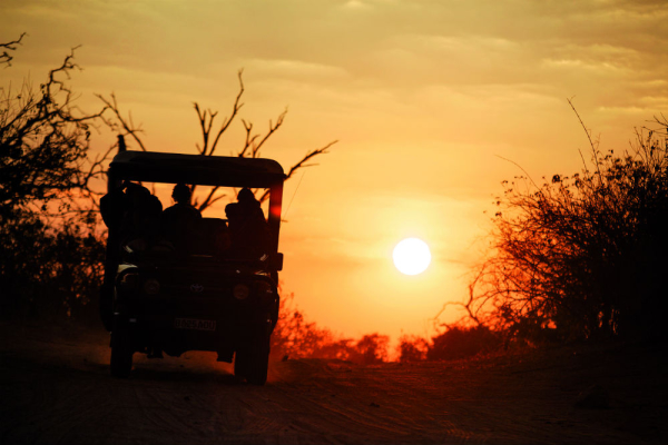chobe
