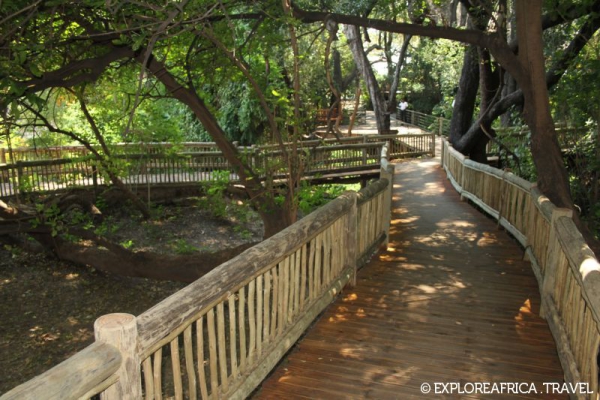 chobe_safari_lodge_walkway-800x533